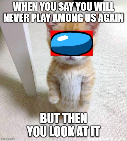 Hope you enjoy | WHEN YOU SAY YOU WILL NEVER PLAY AMONG US AGAIN; BUT THEN YOU LOOK AT IT | image tagged in memes,cute cat | made w/ Imgflip meme maker