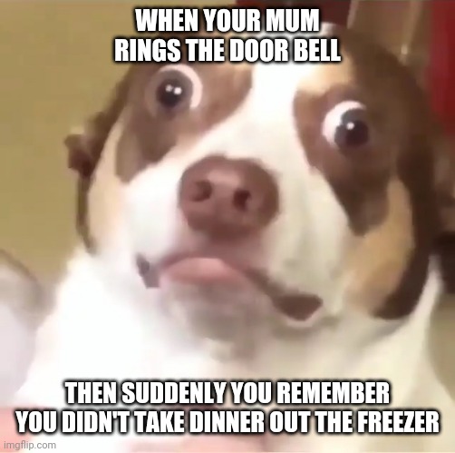 Doom awaits | WHEN YOUR MUM RINGS THE DOOR BELL; THEN SUDDENLY YOU REMEMBER YOU DIDN'T TAKE DINNER OUT THE FREEZER | image tagged in bad dog caught | made w/ Imgflip meme maker