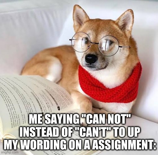 Wholesome advice shibe | ME SAYING "CAN NOT" INSTEAD OF "CAN'T" TO UP MY WORDING ON A ASSIGNMENT: | image tagged in wholesome advice shibe | made w/ Imgflip meme maker