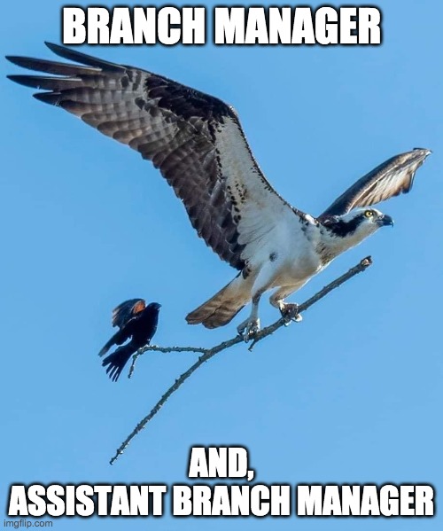 Branch Manager & Assistant Branch Manager | BRANCH MANAGER; AND,
ASSISTANT BRANCH MANAGER | image tagged in funny,memes,branch manager,assistant branch manager | made w/ Imgflip meme maker
