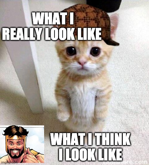 Sorry for the trash editing, i had to do this during class | WHAT I REALLY LOOK LIKE; WHAT I THINK I LOOK LIKE | image tagged in memes,cute cat | made w/ Imgflip meme maker