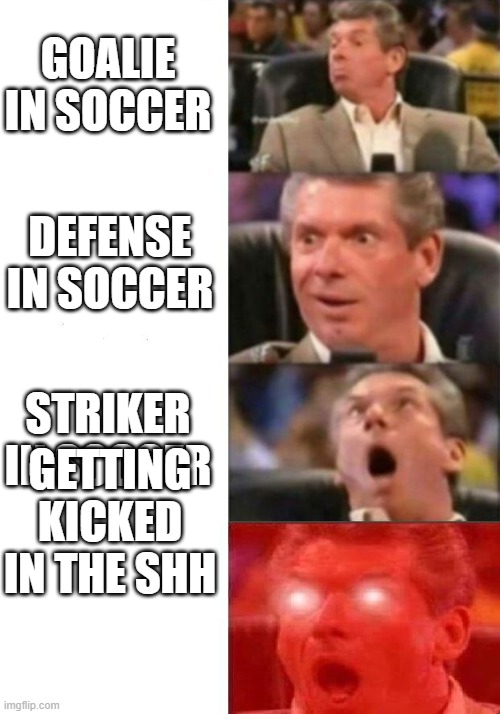soccer rules | GOALIE IN SOCCER; DEFENSE IN SOCCER; STRIKER IN SOCCER; GETTING KICKED IN THE SHH | image tagged in mr mcmahon reaction | made w/ Imgflip meme maker
