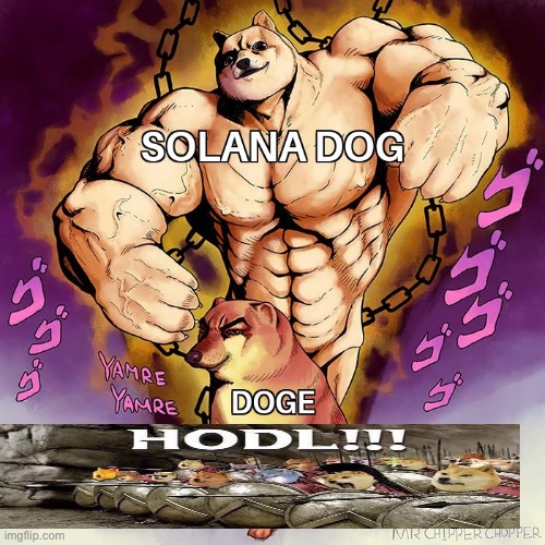 Solana dog | image tagged in hold up | made w/ Imgflip meme maker