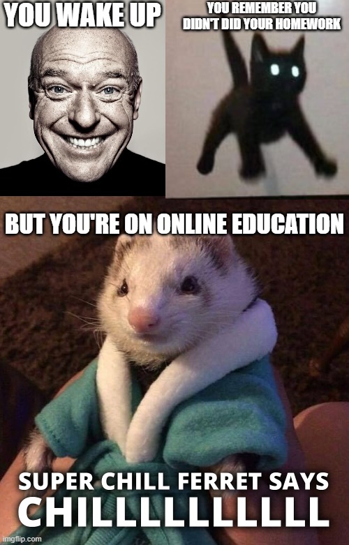 YOU WAKE UP; YOU REMEMBER YOU DIDN'T DID YOUR HOMEWORK; BUT YOU'RE ON ONLINE EDUCATION | image tagged in dean norris's reaction,kenneth says chilllllll | made w/ Imgflip meme maker