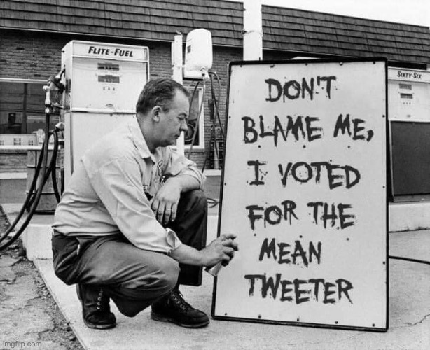 Don’t blame me | image tagged in joe biden,donald trump,twitter,democrats,memes,2020 elections | made w/ Imgflip meme maker