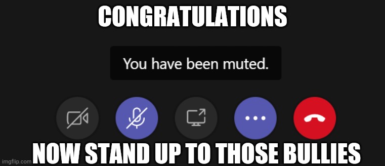 You have been muted | CONGRATULATIONS; NOW STAND UP TO THOSE BULLIES | image tagged in you have been muted | made w/ Imgflip meme maker