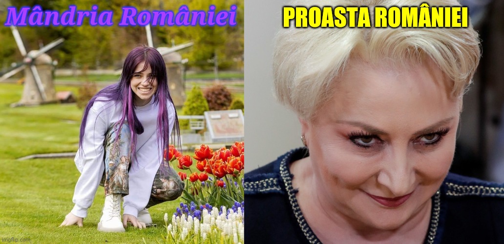 Diferența între Roxen și Viorica Dăncilă | PROASTA ROMÂNIEI; Mândria României | image tagged in memes,roxen,dancila,romania,funny,hehe | made w/ Imgflip meme maker