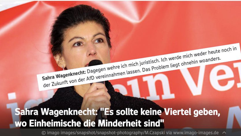 High Quality sahra wagenknecht afd Blank Meme Template