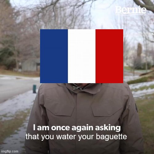 WATER YOUR BAGGUETTES KIDS | that you water your baguette | image tagged in memes,bernie i am once again asking for your support | made w/ Imgflip meme maker