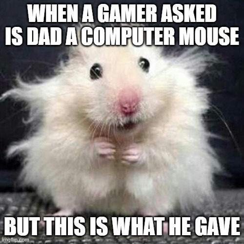 gamer asked for mouse | WHEN A GAMER ASKED IS DAD A COMPUTER MOUSE; BUT THIS IS WHAT HE GAVE | image tagged in stressed mouse | made w/ Imgflip meme maker
