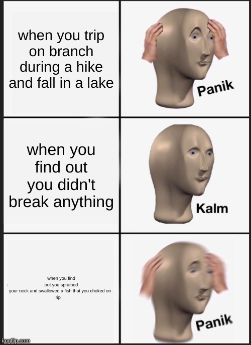 Panik Kalm Panik Meme | when you trip on branch during a hike and fall in a lake; when you find out you didn't break anything; when you find out you sprained your neck and swallowed a fish that you choked on  
rip | image tagged in memes,panik kalm panik | made w/ Imgflip meme maker