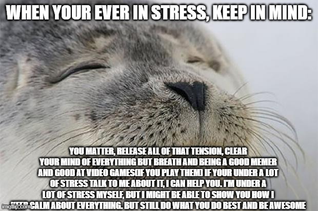 You all matter |  WHEN YOUR EVER IN STRESS, KEEP IN MIND:; YOU MATTER, RELEASE ALL OF THAT TENSION, CLEAR YOUR MIND OF EVERYTHING BUT BREATH AND BEING A GOOD MEMER AND GOOD AT VIDEO GAMES(IF YOU PLAY THEM) IF YOUR UNDER A LOT OF STRESS TALK TO ME ABOUT IT, I CAN HELP YOU. I'M UNDER A LOT OF STRESS MYSELF, BUT I MIGHT BE ABLE TO SHOW YOU HOW I KEEP CALM ABOUT EVERYTHING. BUT STILL DO WHAT YOU DO BEST AND BE AWESOME | image tagged in memes,satisfied seal,you matter,everyone cares,your awesome | made w/ Imgflip meme maker