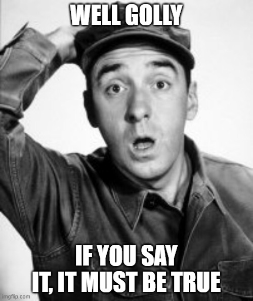 Gomer's Pyle | WELL GOLLY IF YOU SAY IT, IT MUST BE TRUE | image tagged in gomer's pyle | made w/ Imgflip meme maker