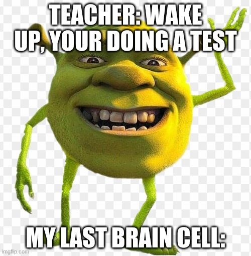 Shrek Wazowski | TEACHER: WAKE UP, YOUR DOING A TEST; MY LAST BRAIN CELL: | image tagged in shrek wazowski,funny,shrek,brain cells,weird,great idea | made w/ Imgflip meme maker
