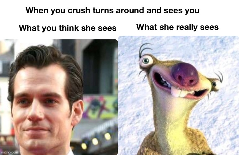Sid is now my face | image tagged in face,crush,funny memes,why | made w/ Imgflip meme maker