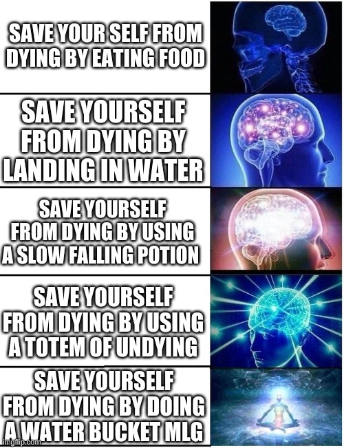 Expanding Brain 5 Panel | SAVE YOUR SELF FROM DYING BY EATING FOOD; SAVE YOURSELF FROM DYING BY LANDING IN WATER; SAVE YOURSELF FROM DYING BY USING A SLOW FALLING POTION; SAVE YOURSELF FROM DYING BY USING A TOTEM OF UNDYING; SAVE YOURSELF FROM DYING BY DOING A WATER BUCKET MLG | image tagged in expanding brain 5 panel | made w/ Imgflip meme maker
