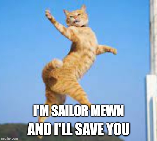 Sailor Mewn | AND I'LL SAVE YOU; I'M SAILOR MEWN | image tagged in im sailor mewn | made w/ Imgflip meme maker