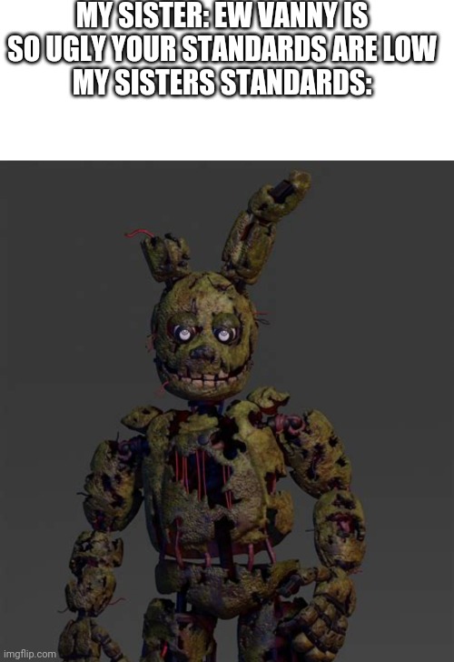This meme is actually true my sis really like springtrap | MY SISTER: EW VANNY IS SO UGLY YOUR STANDARDS ARE LOW
MY SISTERS STANDARDS: | image tagged in memes,blank transparent square,springtrap | made w/ Imgflip meme maker