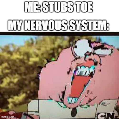 OWW | ME: STUBS TOE; MY NERVOUS SYSTEM: | image tagged in nervous,system | made w/ Imgflip meme maker