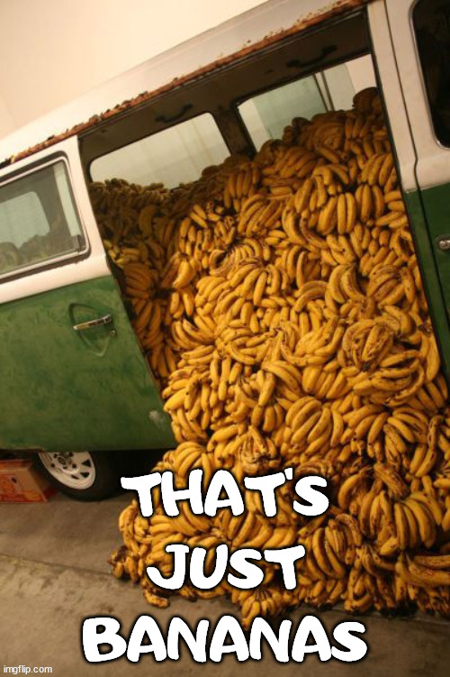 THAT'S JUST BANANAS | image tagged in eye roll | made w/ Imgflip meme maker