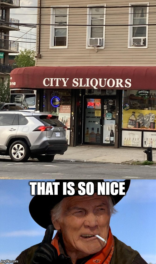 THAT IS SO NICE | image tagged in just one thing,eye roll | made w/ Imgflip meme maker