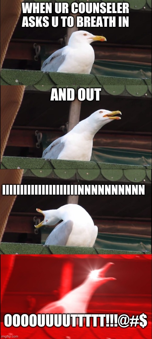 In and out |  WHEN UR COUNSELER ASKS U TO BREATH IN; AND OUT; IIIIIIIIIIIIIIIIIIIIINNNNNNNNNN; OOOOUUUUTTTTT!!!@#$ | image tagged in memes,inhaling seagull | made w/ Imgflip meme maker