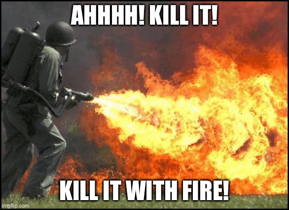 Kill it with fire | AHHHH! KILL IT! KILL IT WITH FIRE! | image tagged in kill it with fire | made w/ Imgflip meme maker