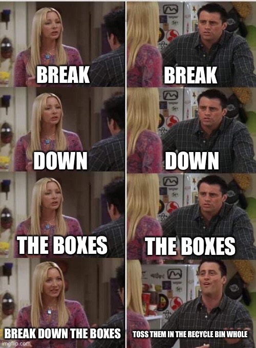 Phoebe Joey | BREAK; BREAK; DOWN; DOWN; THE BOXES; THE BOXES; BREAK DOWN THE BOXES; TOSS THEM IN THE RECYCLE BIN WHOLE | image tagged in phoebe joey | made w/ Imgflip meme maker