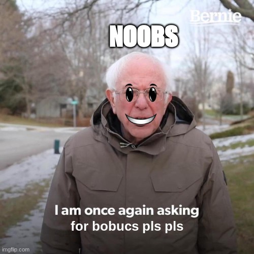 bobuc plz | NOOBS; for bobucs pls pls | image tagged in memes,bernie i am once again asking for your support | made w/ Imgflip meme maker