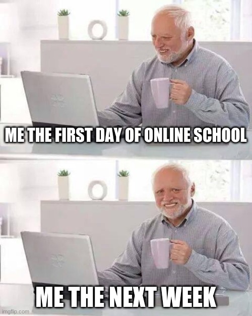 online school be like | ME THE FIRST DAY OF ONLINE SCHOOL; ME THE NEXT WEEK | image tagged in memes,hide the pain harold | made w/ Imgflip meme maker