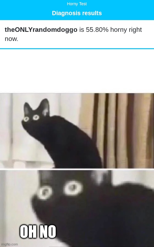 OH NO | image tagged in oh no black cat | made w/ Imgflip meme maker