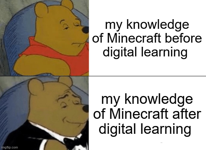 we all did it | my knowledge of Minecraft before digital learning; my knowledge of Minecraft after digital learning | image tagged in memes,tuxedo winnie the pooh | made w/ Imgflip meme maker