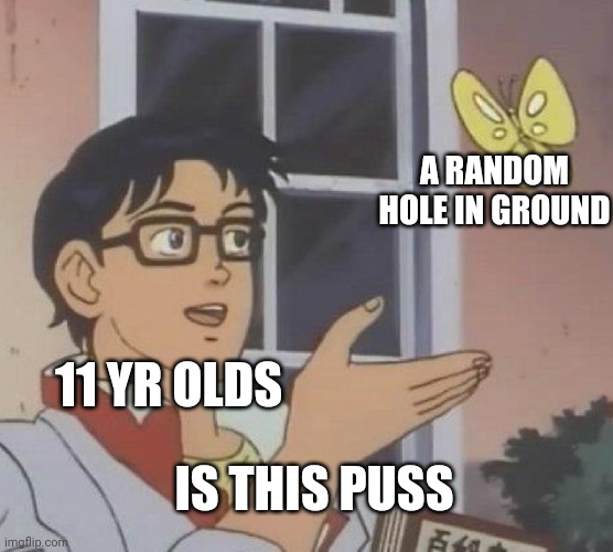 11 yr olds be like | A RANDOM HOLE IN GROUND; 11 YR OLDS; IS THIS PUSS | image tagged in memes,is this a pigeon | made w/ Imgflip meme maker