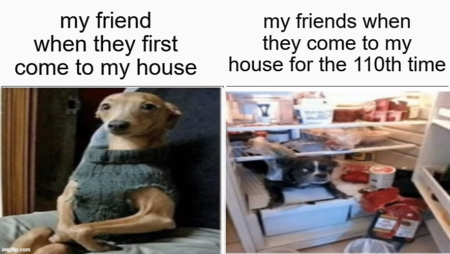 my friend when they first come to my house; my friends when they come to my house for the 110th time | image tagged in memes,blank comic panel 2x1,middle school | made w/ Imgflip meme maker