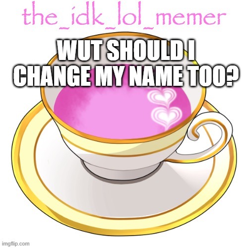 idk | WUT SHOULD I CHANGE MY NAME TOO? | image tagged in the_idk_lol_memer temp | made w/ Imgflip meme maker