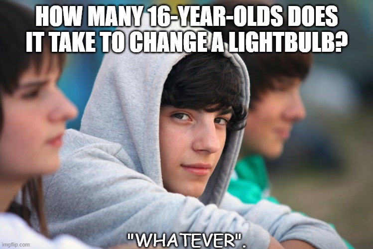 Daily Bad Dad Joke 05/18/2021 |  HOW MANY 16-YEAR-OLDS DOES IT TAKE TO CHANGE A LIGHTBULB? "WHATEVER". | image tagged in teenage boy in hoodie | made w/ Imgflip meme maker