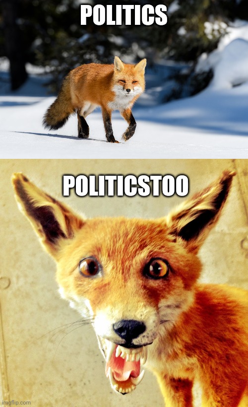 PoliticsToo again | POLITICS; POLITICSTOO | image tagged in politics lol,liberals | made w/ Imgflip meme maker