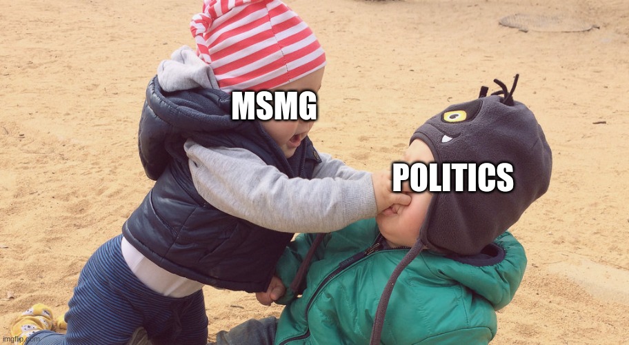 Kids Fighting | MSMG; POLITICS | image tagged in kids fighting | made w/ Imgflip meme maker