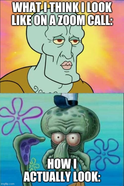 Squidward | WHAT I THINK I LOOK LIKE ON A ZOOM CALL:; HOW I ACTUALLY LOOK: | image tagged in memes,squidward | made w/ Imgflip meme maker