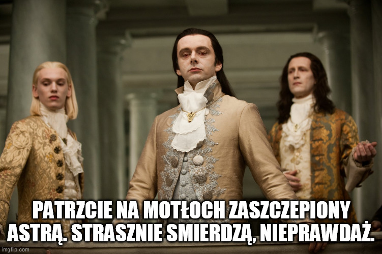 Obrazek