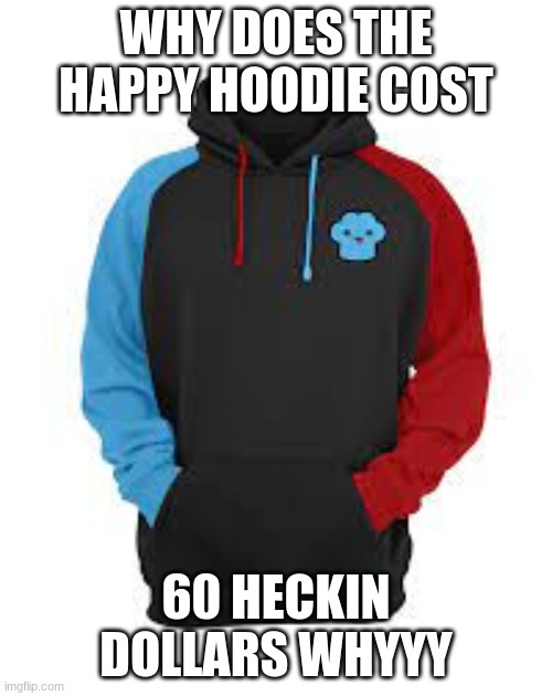 im broke asf （mod note: it's ok, im broke too) | WHY DOES THE HAPPY HOODIE COST; 60 HECKIN DOLLARS WHYYY | image tagged in sad | made w/ Imgflip meme maker