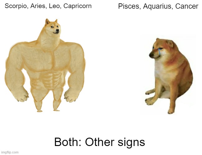 That little dude is not having a good time :/ | Scorpio, Aries, Leo, Capricorn; Pisces, Aquarius, Cancer; Both: Other signs | image tagged in memes,buff doge vs cheems | made w/ Imgflip meme maker