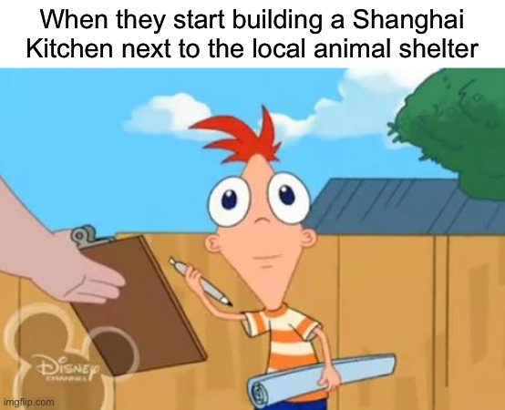 Bye bye dogs | When they start building a Shanghai Kitchen next to the local animal shelter | image tagged in phineas front face,funny,memes,chinese food,animal shelter,peta | made w/ Imgflip meme maker