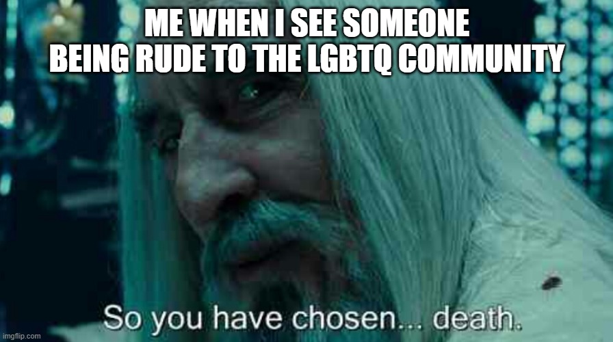 Fax. They brave for choosing who they are | ME WHEN I SEE SOMEONE BEING RUDE TO THE LGBTQ COMMUNITY | image tagged in so you have chosen death | made w/ Imgflip meme maker
