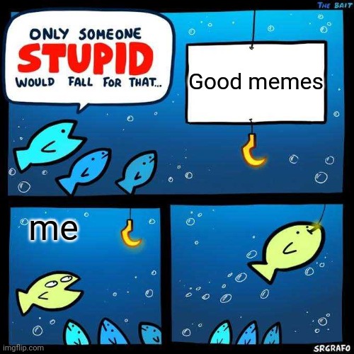 Only someone stupid would fall for that |  Good memes; me | image tagged in only someone stupid would fall for that,true | made w/ Imgflip meme maker