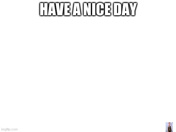 Have A nice Day | HAVE A NICE DAY | image tagged in blank white template | made w/ Imgflip meme maker