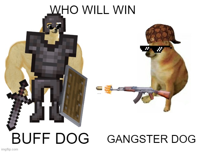WHO WILL WIN? | WHO WILL WIN; GANGSTER DOG; BUFF DOG | image tagged in memes,buff doge vs cheems | made w/ Imgflip meme maker