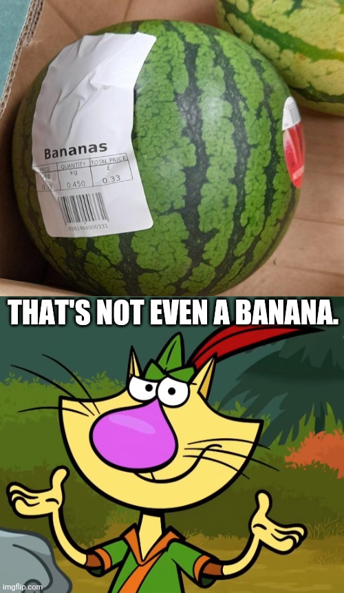Really? Melon's a banana? | THAT'S NOT EVEN A BANANA. | image tagged in confused nature cat 2,fails,fruits,task failed successfully,you had one job | made w/ Imgflip meme maker