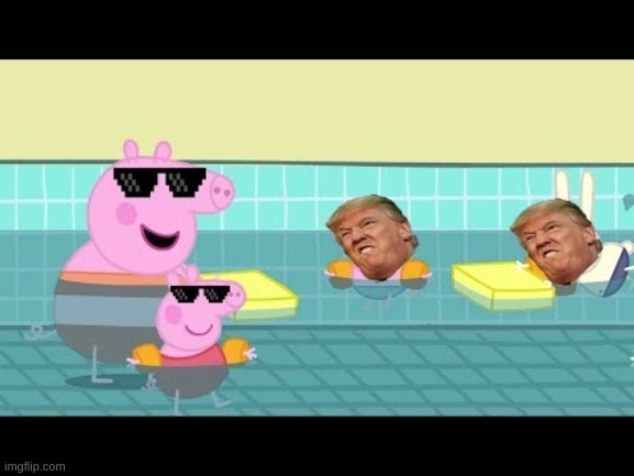 what is trump so small? | image tagged in what if i told you,i have no idea what i am doing | made w/ Imgflip meme maker