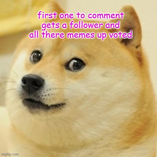 boink | first one to comment gets a follower and all there memes up voted | image tagged in memes,doge | made w/ Imgflip meme maker